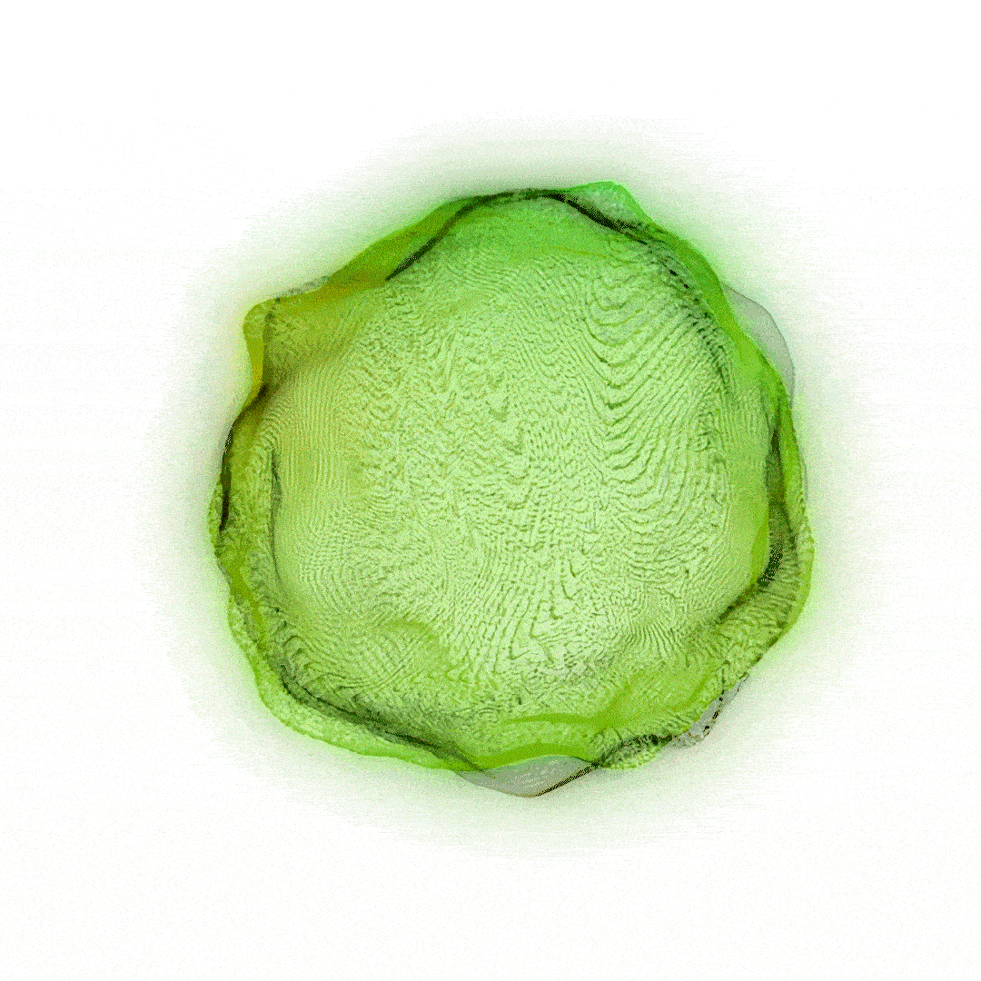 Image-